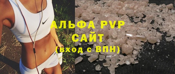 apvp Алзамай