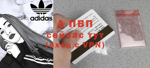 apvp Алзамай