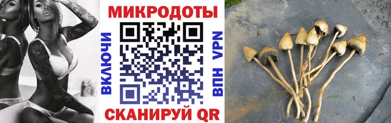 Галлюциногенные грибы GOLDEN TEACHER Кремёнки